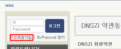 【DNSzi.com】韩国免费DNS解析注册及使用教程