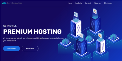 SoftShellWeb台湾VPS：29.95美元/年，美国/荷兰服务器11.95美元/年，送双倍流量，支持支付宝/Paypal